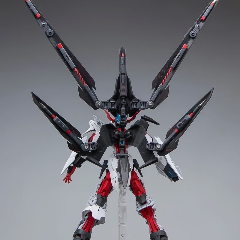 HG 1/144 Astray No-Name Astray - Model Kit Third Party 리뷰 및 가격