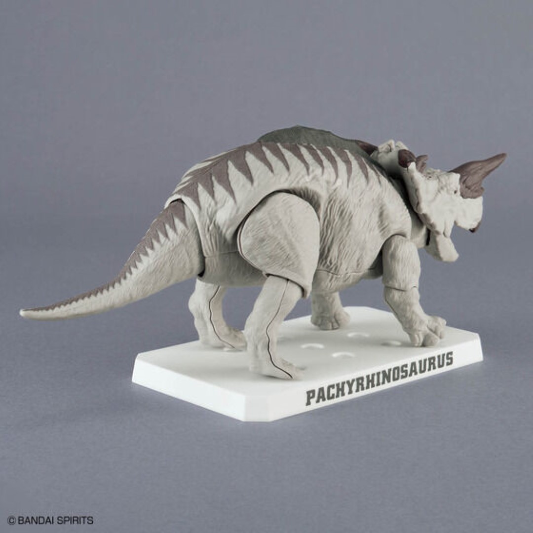 오리지널 반다이 스피리츠 플라노사우루스 파키리노사우루스 - Model Kit Dinosaur Bandai 리뷰 및 가격