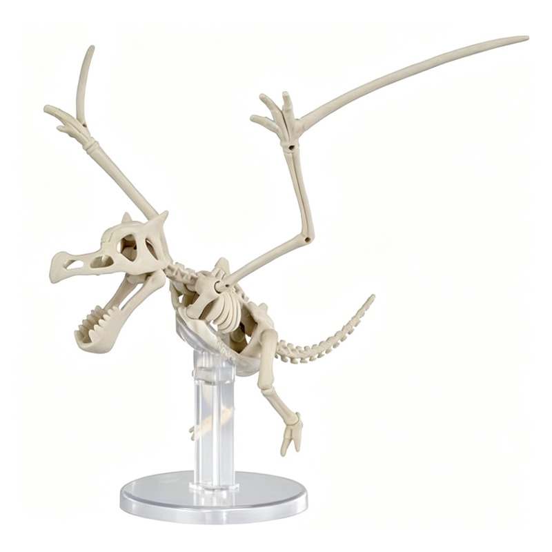 반다이 포켓몬 플라스틱 모델 듀올로지: 화석 가치고라스 - Model Kit Kyogre 리뷰 및 가격