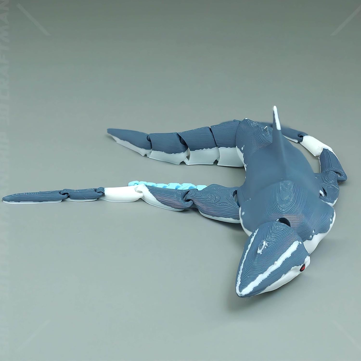3D 프린팅된 관절형 모사사우루스 모형, 움직이는 관절 - Model Kit Kyogre 리뷰 및 가격
